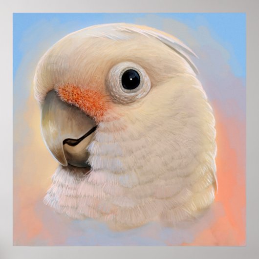 Goffin Tanimbar Corella Cockato Poster (Voorkant)
