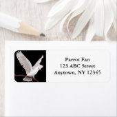 Goffin's Kaketoe Label (Insitu)