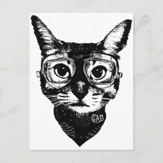 Goggles Cat Briefkaart