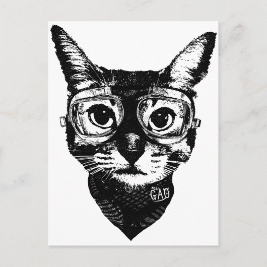 Goggles Cat Briefkaart (Voorkant)
