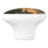 Gogh Kat Sterrennacht Keramische Knop (Zijkant)