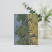 Gogh, Vincent van Olivenhain 1889 Technique ?l auf Briefkaart (Staand voorkant)