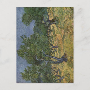 Gogh, Vincent van Olivenhain 1889 Technique ?l auf Briefkaart