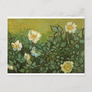 Gogh Wilde Rozen Bloesems Bloemen Wijnstokken Kun Briefkaart