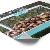 Going Coconuts Poster (Hoek)