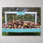 Going Coconuts Poster (Voorkant)