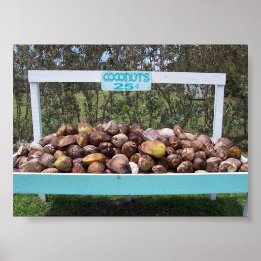 Going Coconuts Poster (Voorkant)