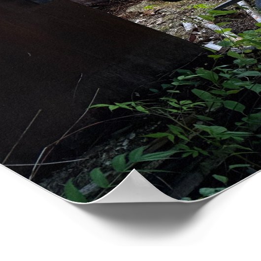 Going Green Poster (Hoek)