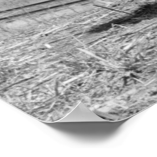 Going Hunting: 1930 Poster (Hoek)