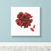 Goji Berries Canvas (Insitu (Houten vloer))