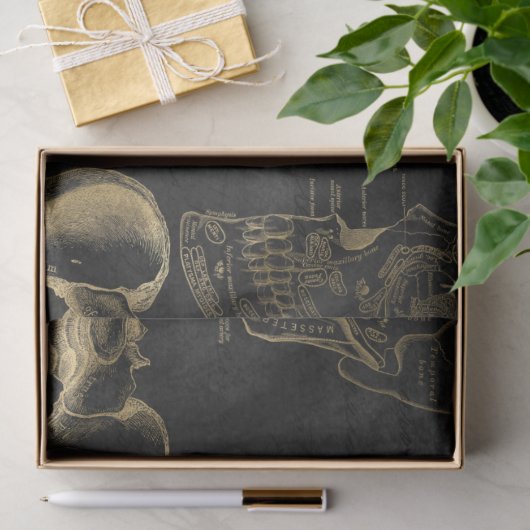 Gold Anatomy Drawings op zwarte ontkoppeling Tissuepapier (Geschenk)