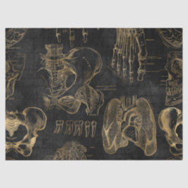 Gold Anatomy Drawings op zwarte ontkoppeling Tissuepapier