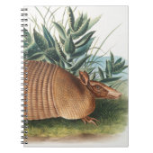 Gold Beige Nine-banded Armadillo Notitieboek (Voorkant)