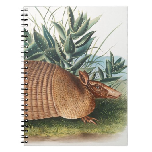 Gold Beige Nine-banded Armadillo Notitieboek (Voorkant)