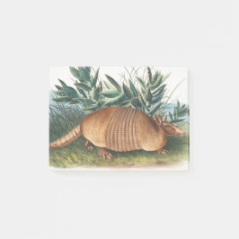 Gold Beige Nine-banded Armadillo Post-it® Notes