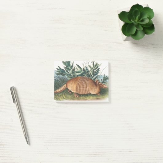 Gold Beige Nine-banded Armadillo Post-it® Notes (Kantoor)