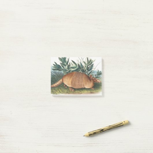 Gold Beige Nine-banded Armadillo Post-it® Notes (Op bureau)