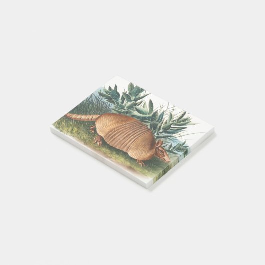 Gold Beige Nine-banded Armadillo Post-it® Notes (Schuin)