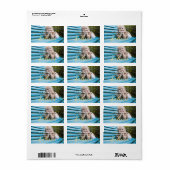 Gold Believe | Vakantie foto adreslabel Etiket (Full Sheet)