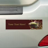 Gold Betta Siamese gevechtsvis Bumpersticker (Op auto)