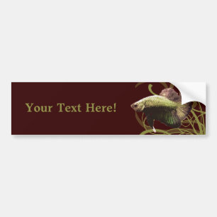 Gold Betta Siamese gevechtsvis Bumpersticker