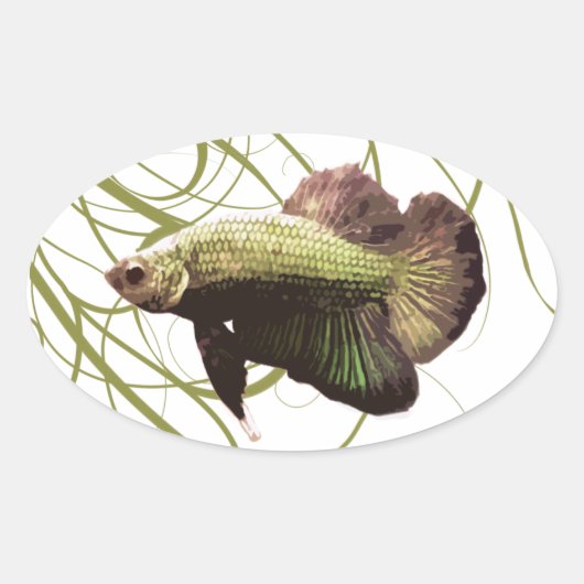 Gold Betta Siamese gevechtsvis Ovale Sticker (Voorkant)