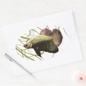 Gold Betta Siamese gevechtsvis Ovale Sticker (Envelop)