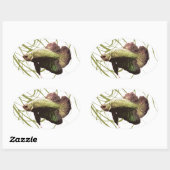 Gold Betta Siamese gevechtsvis Ovale Sticker (Vel)
