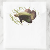 Gold Betta Siamese gevechtsvis Ovale Sticker (Tas)