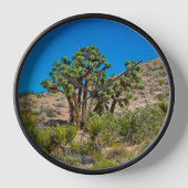 Gold Butte National Monument (Voorkant)