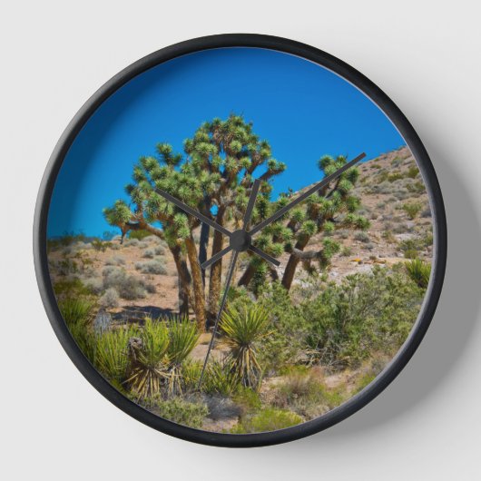 Gold Butte National Monument (Voorkant)