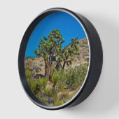 Gold Butte National Monument (Hoek)