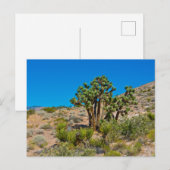 Gold Butte National Monument Briefkaart (Voorkant / Achterkant)