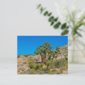Gold Butte National Monument Briefkaart (Staand voorkant)