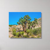Gold Butte National Monument Canvas Afdruk (Voorkant)