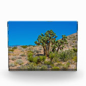 Gold Butte National Monument Fotoblokken (Voorkant)