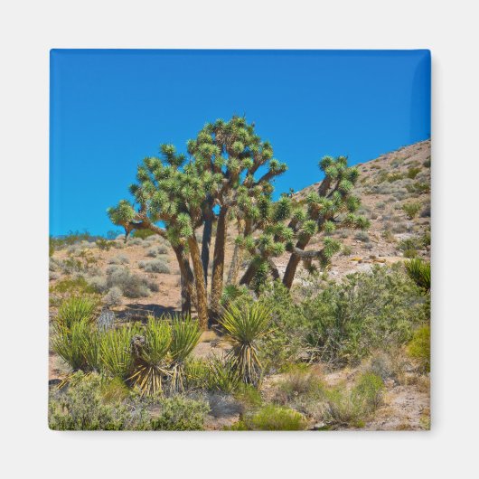 Gold Butte National Monument Magneet (Voorkant)
