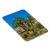 Gold Butte National Monument Magneet (Rechterzijde)