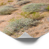 Gold Butte National Monument Poster (Hoek)