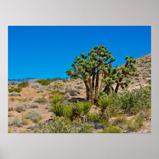 Gold Butte National Monument Poster (Voorkant)