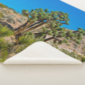 Gold Butte National Monument Sherpa Deken (3/4)