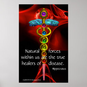 GOLD CADUCEUS, 7 CHAKRAS, Healing, Medical, Yoga Poster