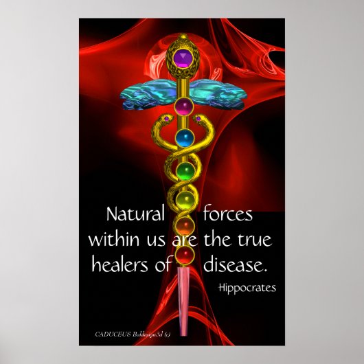 GOLD CADUCEUS, 7 CHAKRAS, Healing, Medical, Yoga Poster (Voorkant)