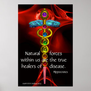 GOLD CADUCEUS, 7 CHAKRAS, Healing, Medical, Yoga Poster