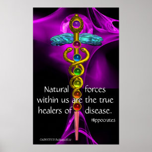 GOLD CADUCEUS, 7 CHAKRAS, PAARS ROOS Medical, Yoga Poster