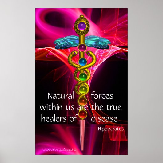 GOLD CADUCEUS,7 CHAKRAS,PINK FRACTAL WAVES Medical Poster (Voorkant)