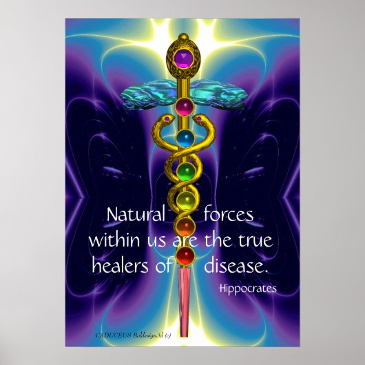 GOLD CADUCEUS EN 7 CHAKRAS IN BLAUWE PAARSE WAVES POSTER (Voorkant)