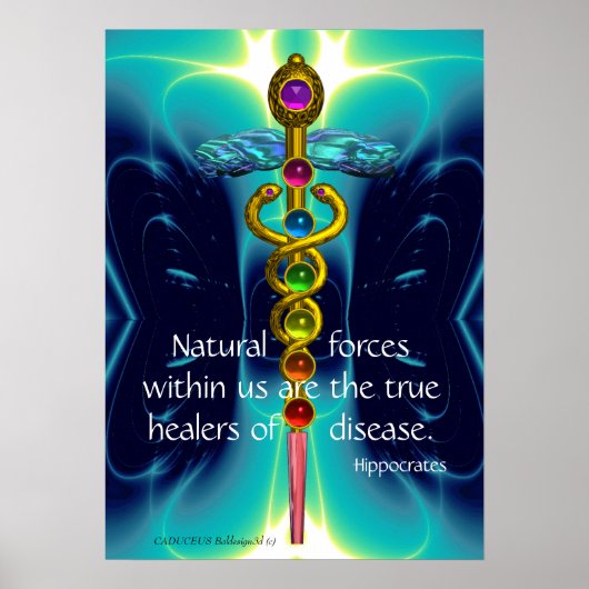 GOLD CADUCEUS EN 7 CHAKRAS IN BLAUWGROEN BLAUWE WA POSTER (Voorkant)