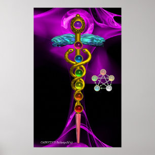 GOLD CADUCEUS EN 7 CHAKRAS IN PAARS FRACTAAL ROOS POSTER