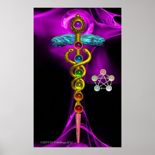 GOLD CADUCEUS EN 7 CHAKRAS IN PAARS FRACTAAL ROOS POSTER (Voorkant)